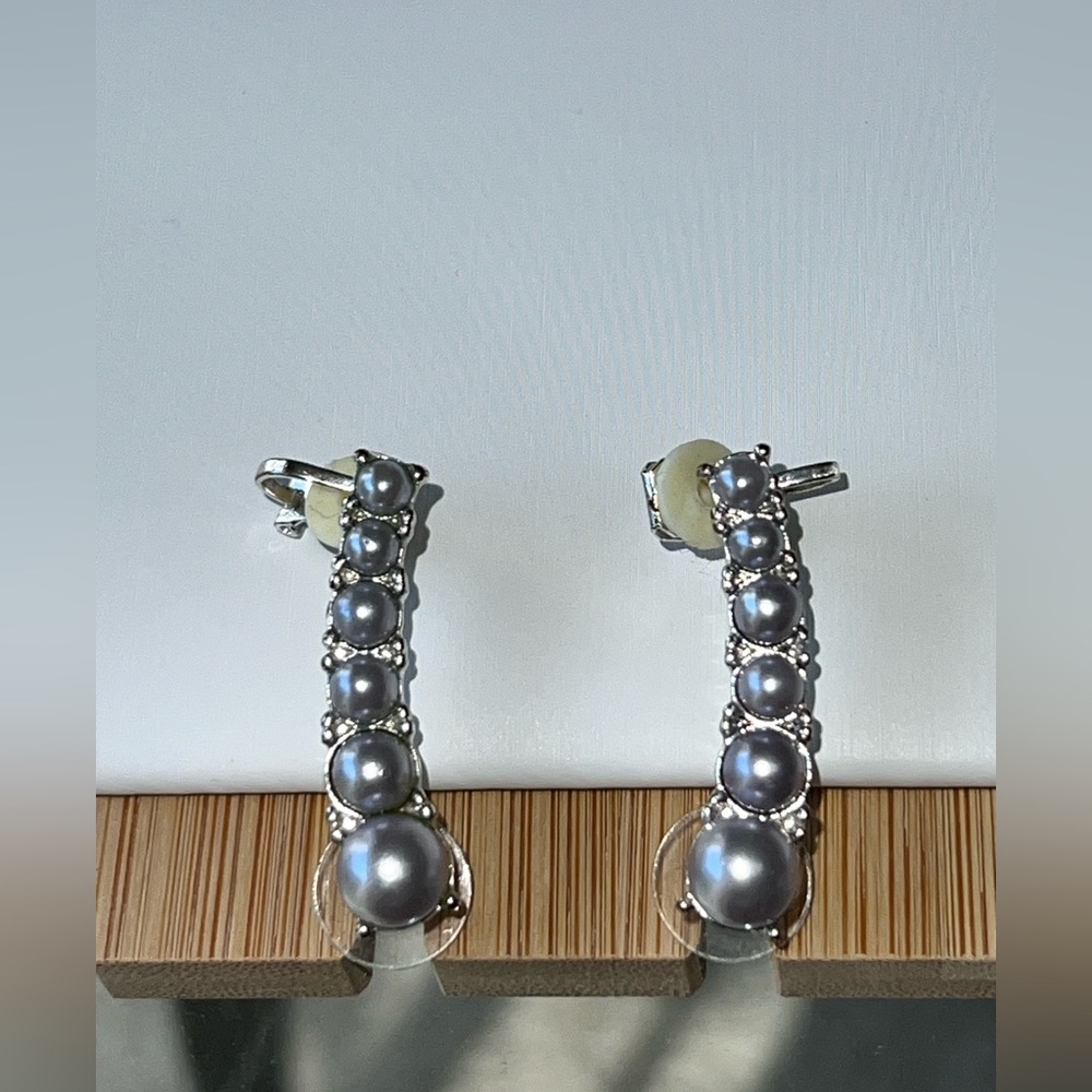 Ear Crawler Earrings